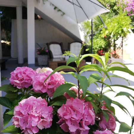 Apartments Poretti For 2,In Center Parking Free In The Yard,6 Min Beach Walk Ρόβινι Εξωτερικό φωτογραφία