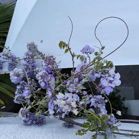 Apartments Poretti For 2,In Center Parking Free In The Yard,6 Min Beach Walk Ρόβινι Εξωτερικό φωτογραφία