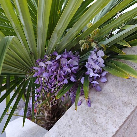 Apartments Poretti For 2,In Center Parking Free In The Yard,6 Min Beach Walk Ρόβινι Εξωτερικό φωτογραφία