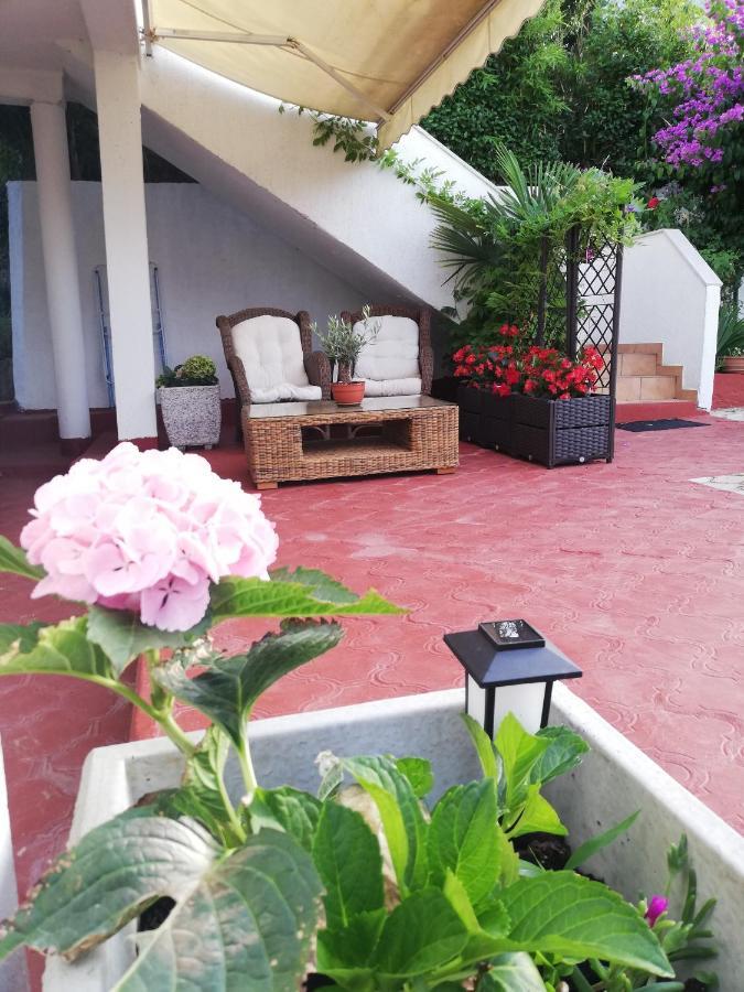 Apartments Poretti For 2,In Center Parking Free In The Yard,6 Min Beach Walk Ρόβινι Εξωτερικό φωτογραφία