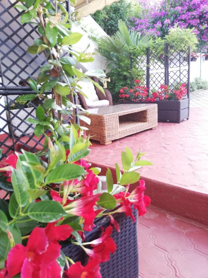 Apartments Poretti For 2,In Center Parking Free In The Yard,6 Min Beach Walk Ρόβινι Εξωτερικό φωτογραφία