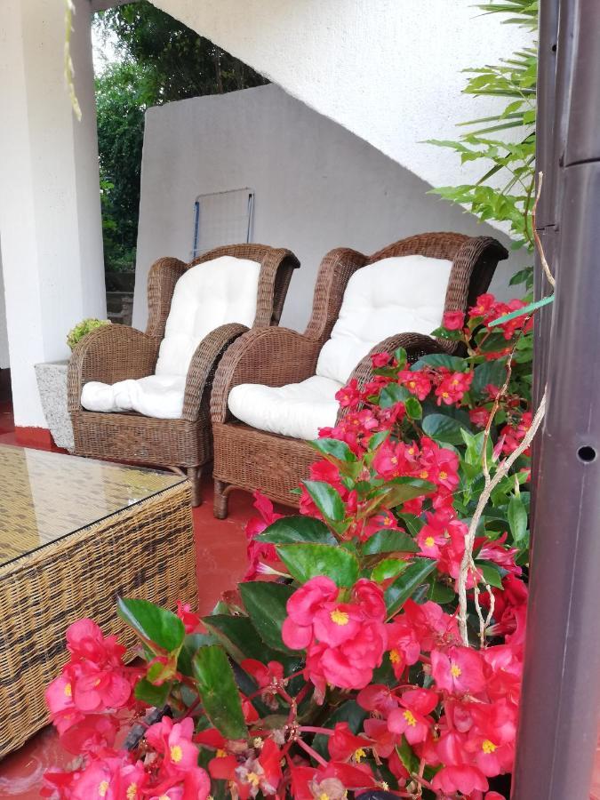 Apartments Poretti For 2,In Center Parking Free In The Yard,6 Min Beach Walk Ρόβινι Εξωτερικό φωτογραφία