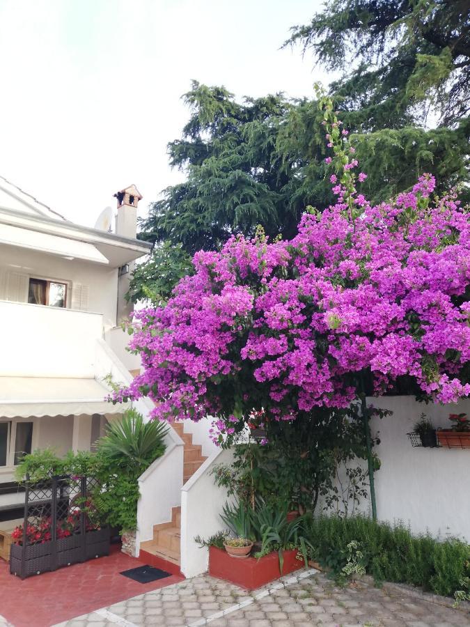 Apartments Poretti For 2,In Center Parking Free In The Yard,6 Min Beach Walk Ρόβινι Εξωτερικό φωτογραφία