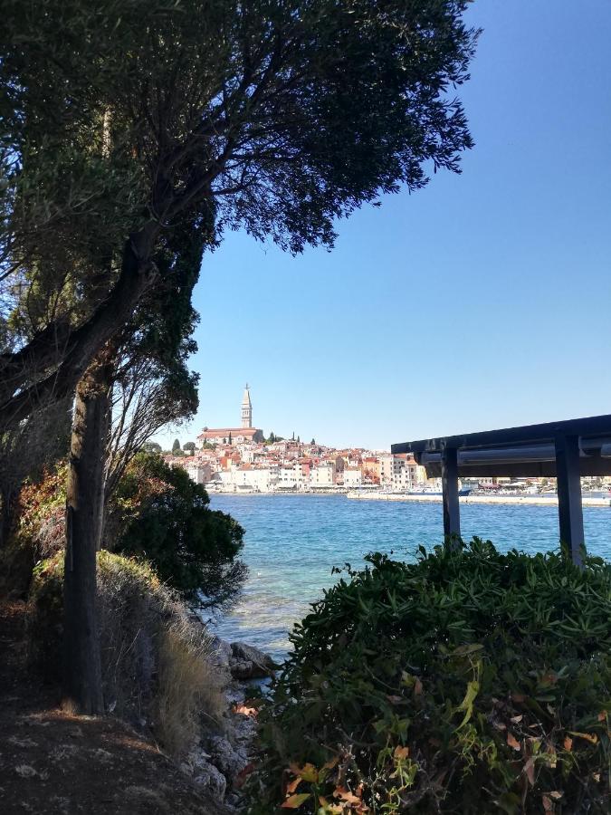 Apartments Poretti For 2,In Center Parking Free In The Yard,6 Min Beach Walk Ρόβινι Εξωτερικό φωτογραφία