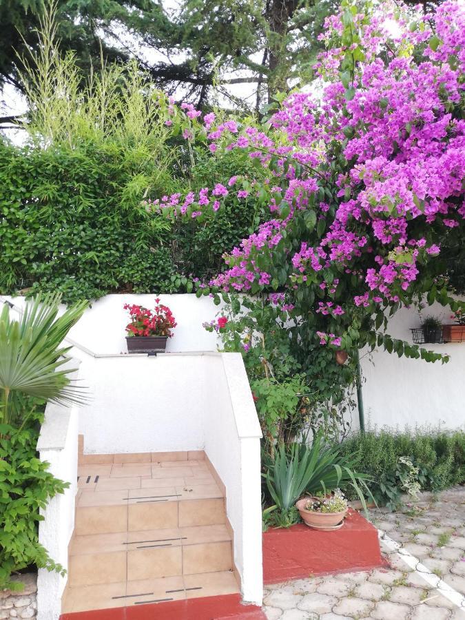 Apartments Poretti For 2,In Center Parking Free In The Yard,6 Min Beach Walk Ρόβινι Εξωτερικό φωτογραφία