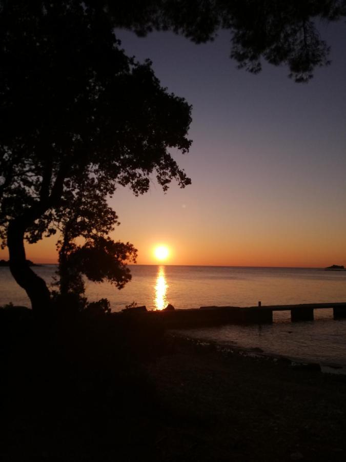 Apartments Poretti For 2,In Center Parking Free In The Yard,6 Min Beach Walk Ρόβινι Εξωτερικό φωτογραφία