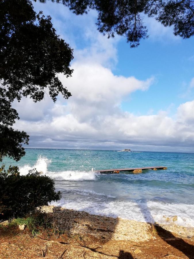 Apartments Poretti For 2,In Center Parking Free In The Yard,6 Min Beach Walk Ρόβινι Εξωτερικό φωτογραφία