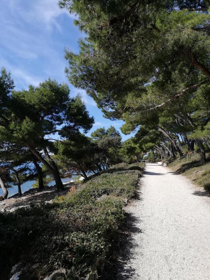 Apartments Poretti For 2,In Center Parking Free In The Yard,6 Min Beach Walk Ρόβινι Εξωτερικό φωτογραφία