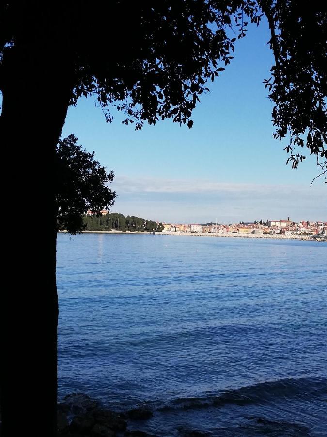 Apartments Poretti For 2,In Center Parking Free In The Yard,6 Min Beach Walk Ρόβινι Εξωτερικό φωτογραφία