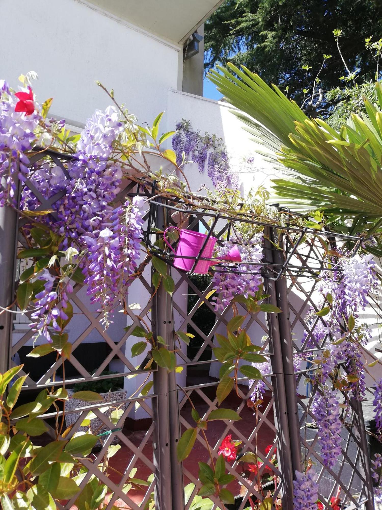 Apartments Poretti For 2,In Center Parking Free In The Yard,6 Min Beach Walk Ρόβινι Εξωτερικό φωτογραφία