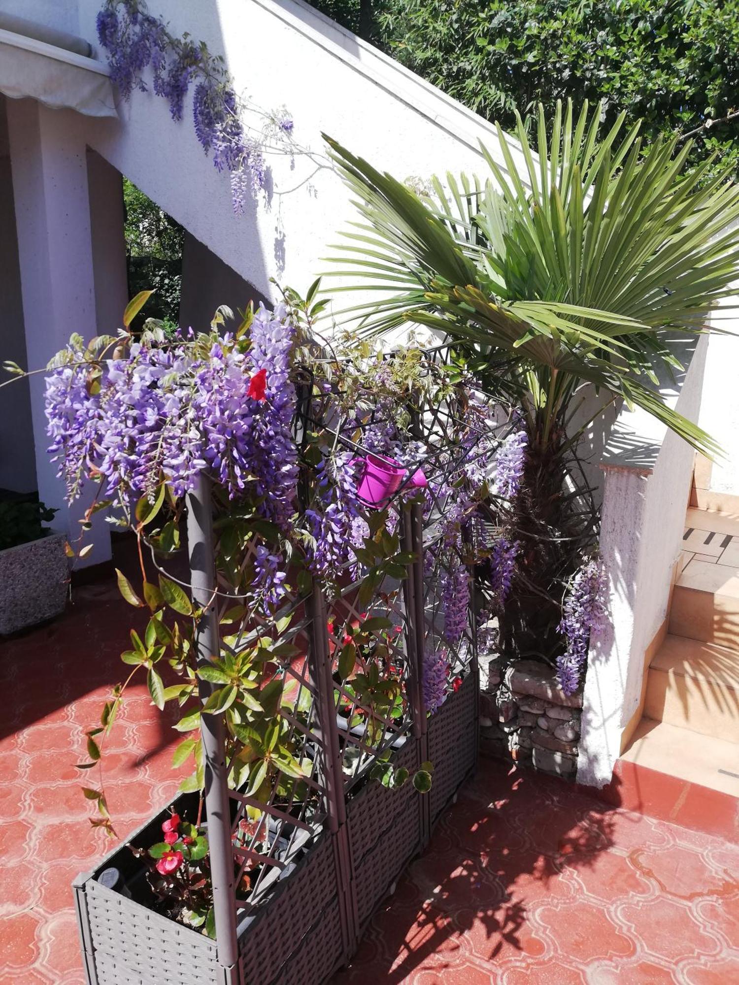 Apartments Poretti For 2,In Center Parking Free In The Yard,6 Min Beach Walk Ρόβινι Εξωτερικό φωτογραφία