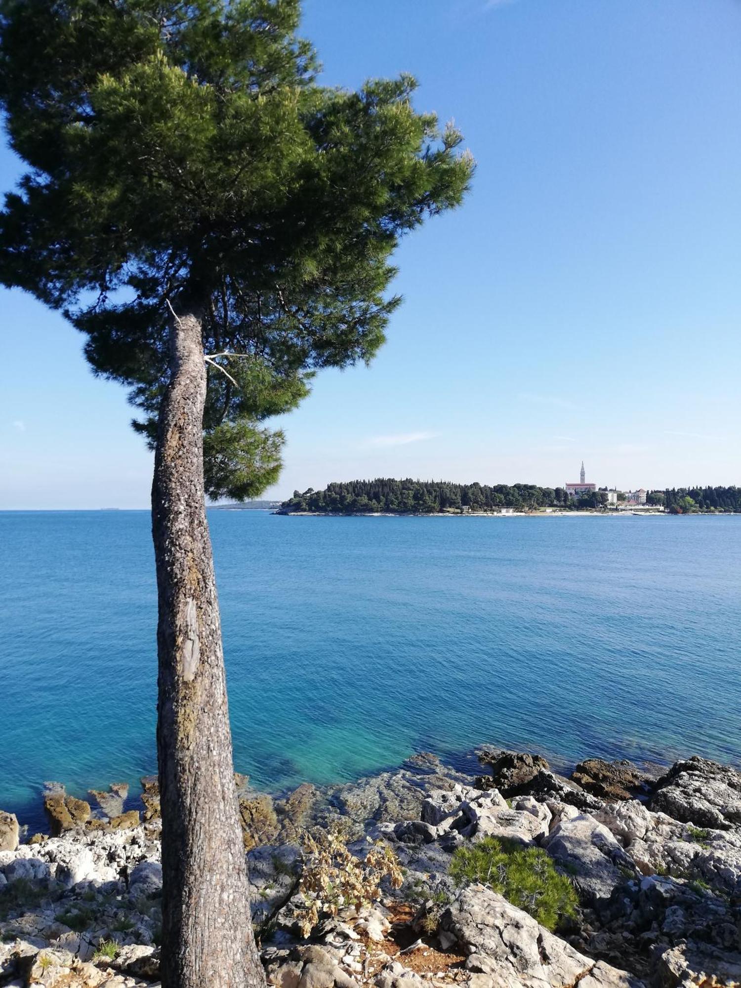 Apartments Poretti For 2,In Center Parking Free In The Yard,6 Min Beach Walk Ρόβινι Εξωτερικό φωτογραφία
