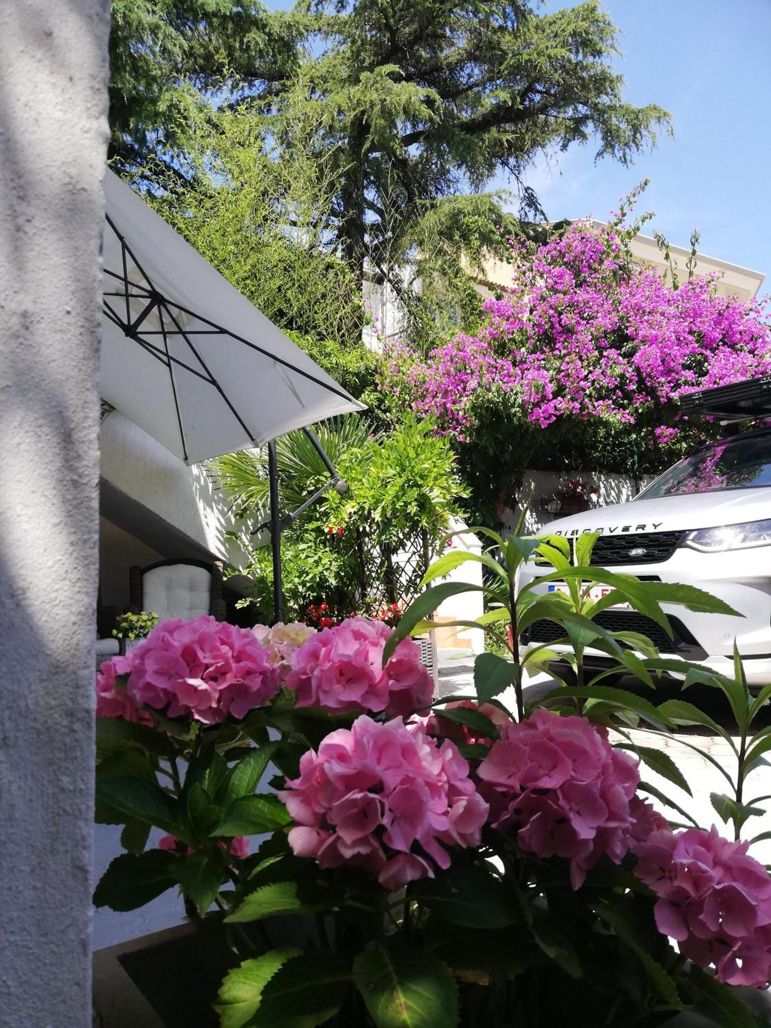 Apartments Poretti For 2,In Center Parking Free In The Yard,6 Min Beach Walk Ρόβινι Εξωτερικό φωτογραφία