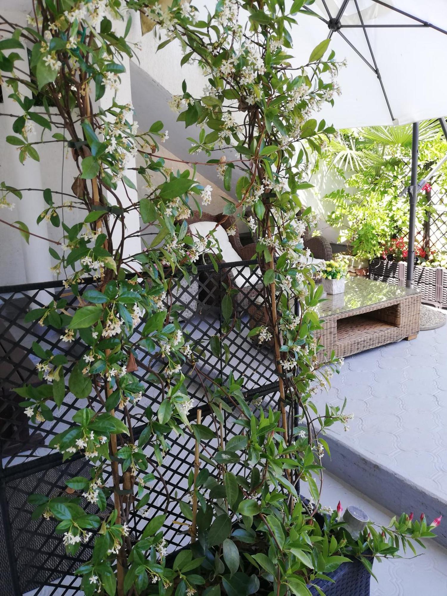 Apartments Poretti For 2,In Center Parking Free In The Yard,6 Min Beach Walk Ρόβινι Δωμάτιο φωτογραφία
