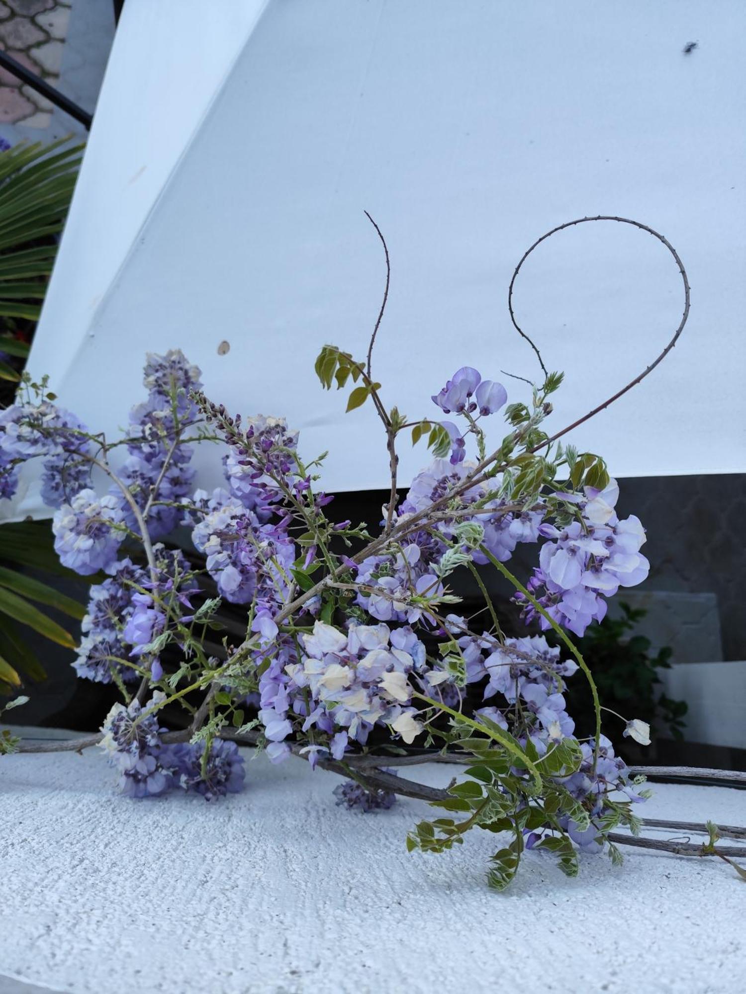 Apartments Poretti For 2,In Center Parking Free In The Yard,6 Min Beach Walk Ρόβινι Εξωτερικό φωτογραφία